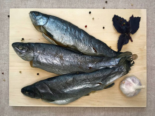 Осьминог по-шанхайски: Форель радужная вяленая