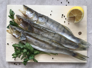 Форель радужная вяленая: Судак вяленый